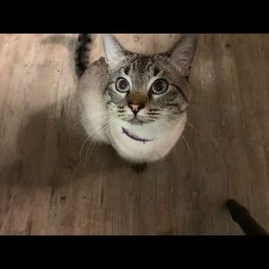 Meet your Posher, Caitlin